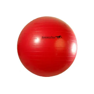 Jolly Balls for Horses