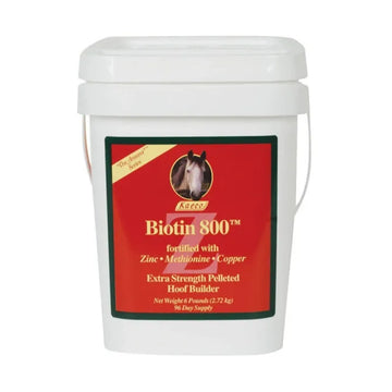 Biotin 800 Z (kaeco)