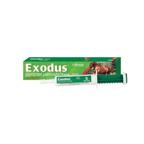 Exodus