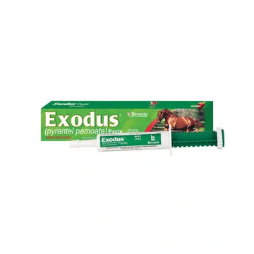 Exodus